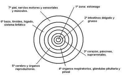 Iridología. Mapa del iris por zonas orgánicas